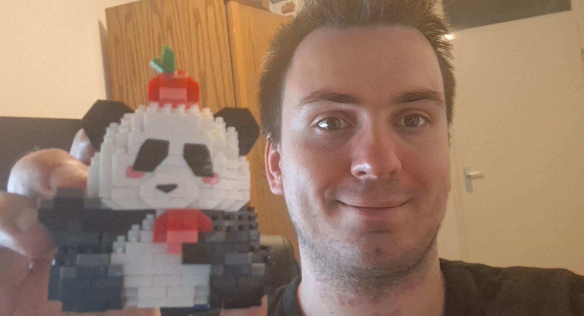 Chinese Nep-LEGO Panda Review: Micro Blocks Test | Bryan Vreijsen